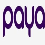 Chika Nwosu, MD PalmPay Champions Embedded Finance as Key to Africa’s Digital Economy @ PAFON 3.0